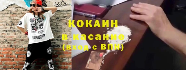 индика Лагань